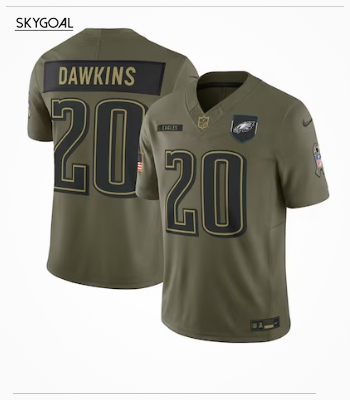Brian Dawkins Philadelphia Eagles Nike 2025 Salute To Service Retired Limited Jersey - Olive