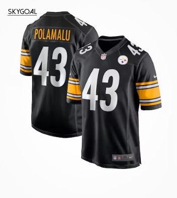 Troy Polamalu Pittsburgh Steelers Nike Jersey - Black