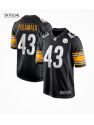 Troy Polamalu Pittsburgh Steelers Nike Jersey - Black