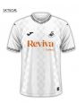 Swansea City Domicile 2025/26