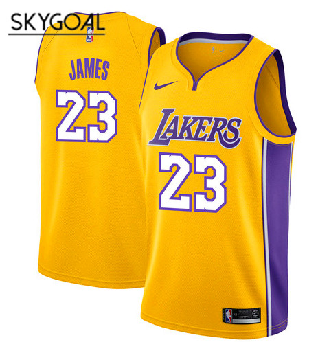 Lebron James Los Angeles Lakers - Icon