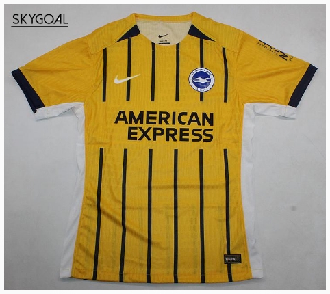 Brighton & Hove Albion Exterieur 2024/25 - Authentic