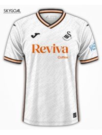 Swansea Domicile 2024/25