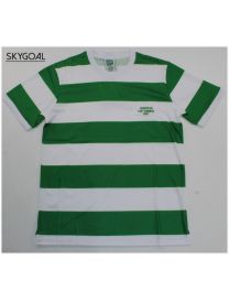 Celtic Domicile 66/67