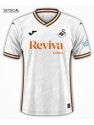 Swansea Domicile 2024/25